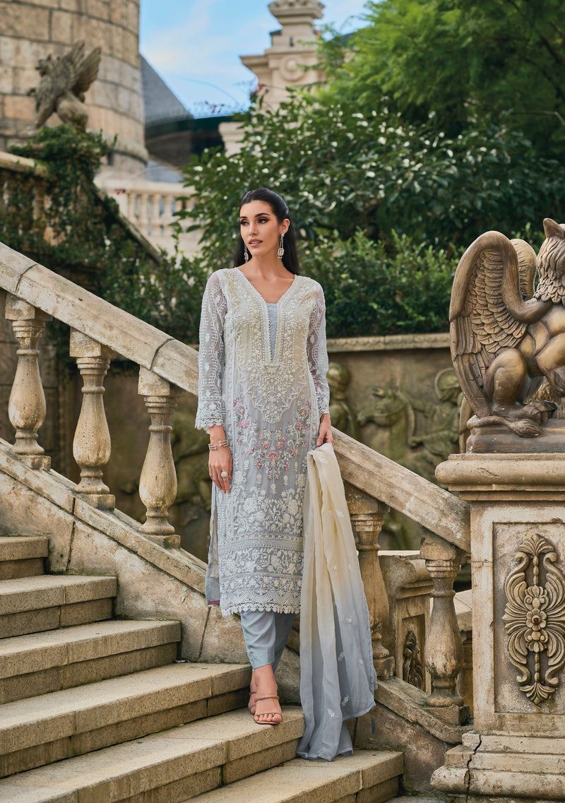 Embroidered Organza Pakistani Suit- M, L
