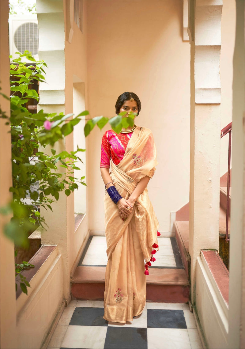 Organza silk saree with fancy works