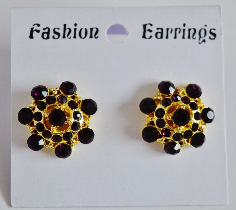 Gorgeous Purple Stones Earrings