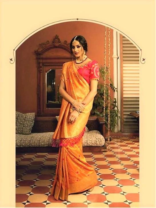 Pure Silk Saree With Double Blouse