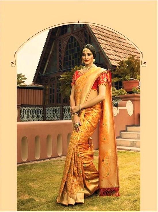 Pure Silk Saree With Double Blouse